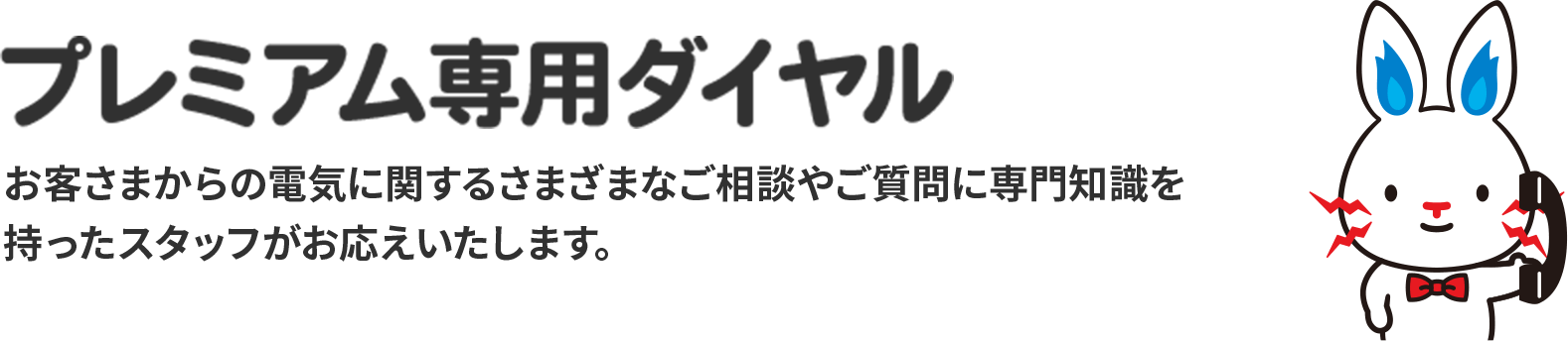 TEPCO関東エリア