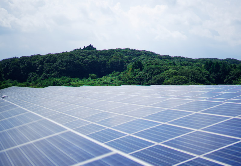 自然電力のでんき