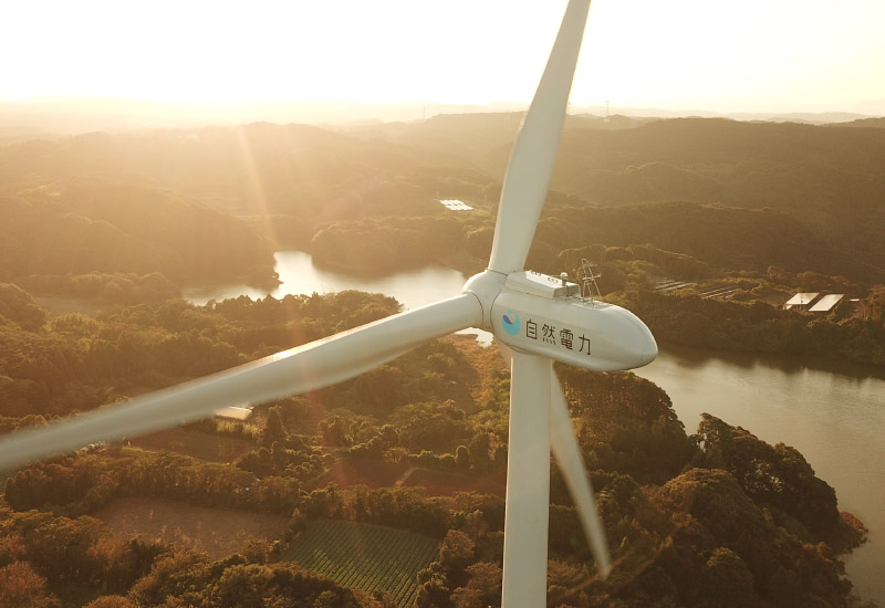 自然電力のでんき