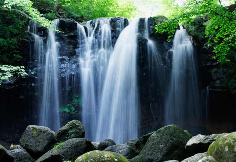 自然電力のでんき